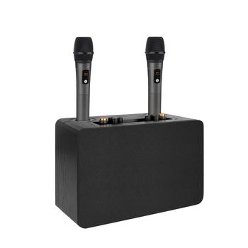 Karaoke all-in-one zvučni sustav s drvenim kućištem, 5 zvučnika, 50W, Bluetooth 5.0, raspon frekvencija 100Hz-20kHz