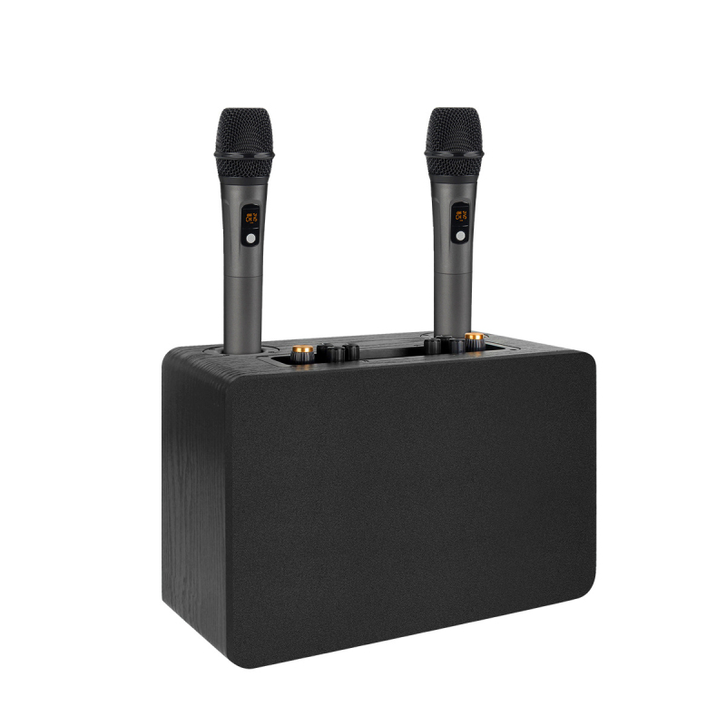 Karaoke all-in-one zvučni sustav s drvenim kućištem, 5 zvučnika, 50W, Bluetooth 5.0, raspon frekvencija 100Hz-20kHz