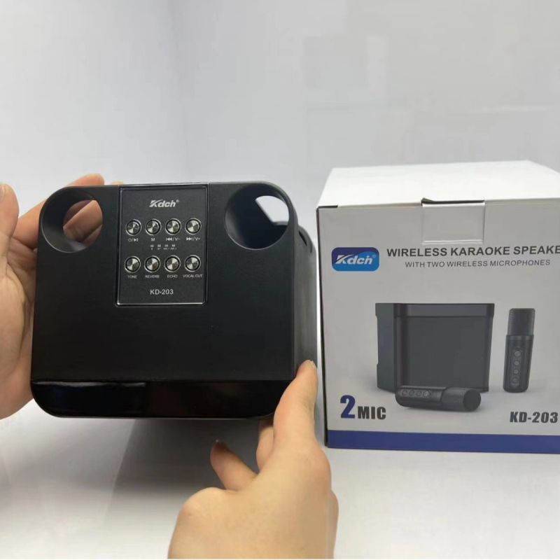 Bežični Bluetooth All-in-One zvučnik s ugrađenim mikrofonom za vanjske zabave (Bluetooth 5.3, 100Hz-20kHz, 10W, USB napajanje, SD kartica utor)