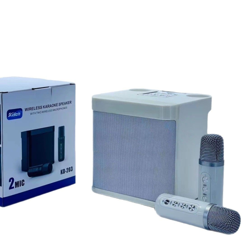 Bežični Bluetooth All-in-One zvučnik s ugrađenim mikrofonom za vanjske zabave (Bluetooth 5.3, 100Hz-20kHz, 10W, USB napajanje, SD kartica utor)