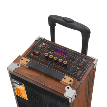 BAAB Vanjski karaoke zvučnik, sustav s dva zvučnika, Bluetooth 5.0, 40W, ugrađena baterija