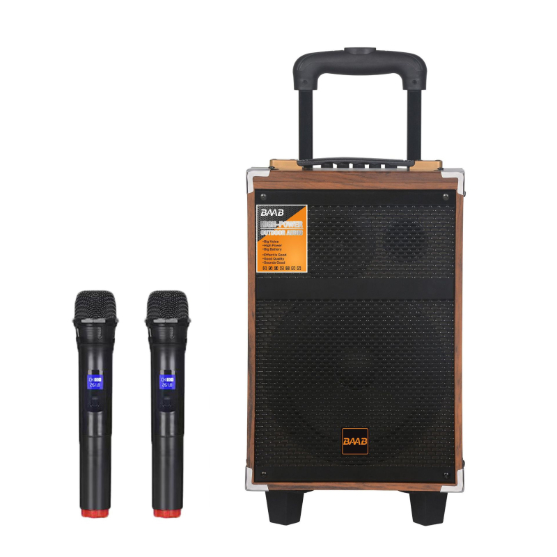 BAAB Vanjski karaoke zvučnik, sustav s dva zvučnika, Bluetooth 5.0, 40W, ugrađena baterija