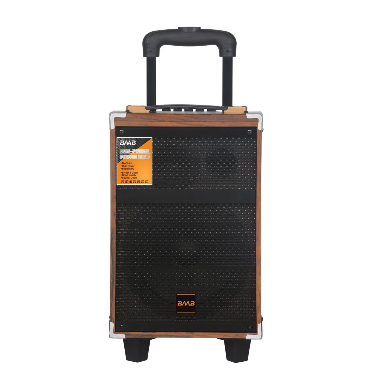 BAAB Vanjski karaoke zvučnik, sustav s dva zvučnika, Bluetooth 5.0, 40W, ugrađena baterija
