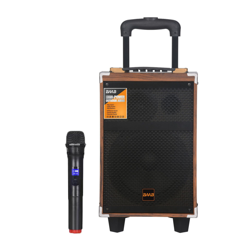 BAAB Vanjski karaoke zvučnik, sustav s dva zvučnika, Bluetooth 5.0, 40W, ugrađena baterija