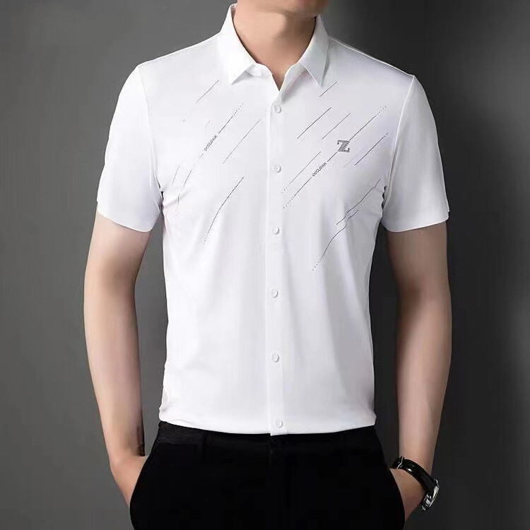 Ανδρικό πουκάμισο για την άνοιξη, επιχειρηματικό στυλ, μακριά μανίκια, χωρίς τσαλάκωμα, τετραδωρή ελαστικότητα, 31–50% μετάξι Mulberry Silk, 20-count ύφασμα