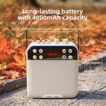 K29 Bluetooth zvučnik sa snimanjem za vanjski ples, 20W, BT 5.0, baterija 2000–4000 mAh, frekvencijski raspon 100 Hz–20 kHz, SNR ≥75 dB