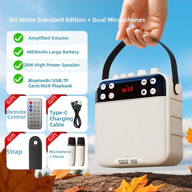 K29 Bluetooth zvučnik sa snimanjem za vanjski ples, 20W, BT 5.0, baterija 2000–4000 mAh, frekvencijski raspon 100 Hz–20 kHz, SNR ≥75 dB