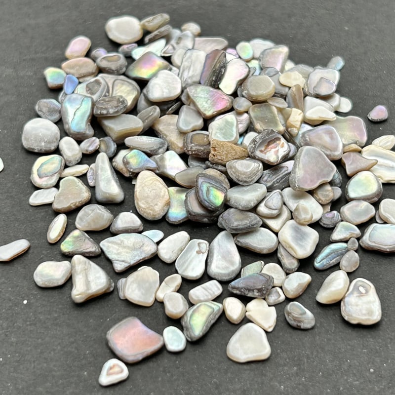 Komadi za nokte od školjaka – prirodna abalonska školjka, biserni materijal, serija Shell, uzorak 18969844106, Snow Glow