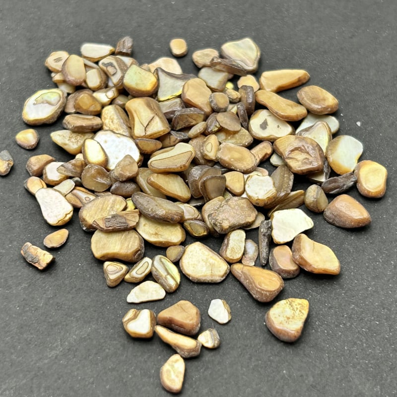 Komadi za nokte od školjaka – prirodna abalonska školjka, biserni materijal, serija Shell, uzorak 18969844106, Snow Glow