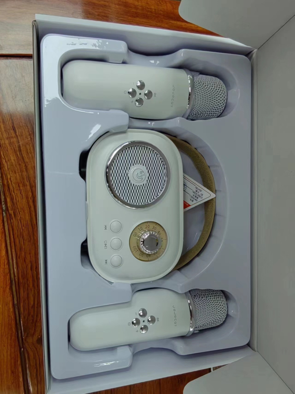 C20Plus Mikrofonski Bluetooth zvučnik za karaoke – Ugrađena baterija 1000–1200mAh, Bluetooth 5.1, 8W, raspon frekvencija 100Hz–20kHz, doseg 10m