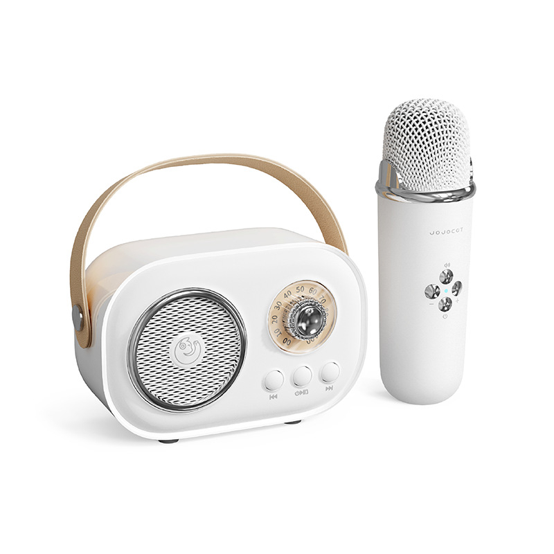 C20Plus Mikrofonski Bluetooth zvučnik za karaoke – Ugrađena baterija 1000–1200mAh, Bluetooth 5.1, 8W, raspon frekvencija 100Hz–20kHz, doseg 10m