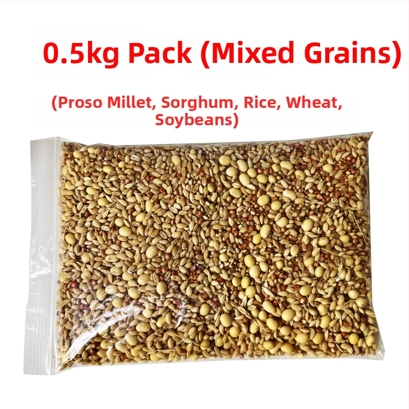 Κοσκινάκι αλευριού – Διακοσμητικό για ευημερία με πέντε κόκκους στο σπίτι, για τελετές εγκατάστασης, γάμου και μετακόμισης (με κελύφη); Μάρκα: Άλλο; Εισαγωγή: Όχι; Στυλ: Άλλο; Κατηγορία: Κοσκινάκι αλευριού