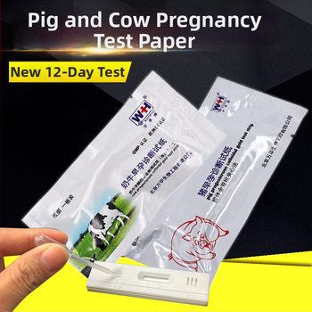 Χαρτί εξέτασης εγκυμοσύνης για γουρούνια, μάρκα ZD; κατάλληλο για αγελάδες και χοίρους, κτηνοτροφία.