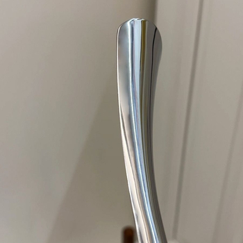 Z.a Tükörfényes rozsdamentes acélból készült önálló cipőhúzó hosszú nyéllel, előcsarnokhoz, tavasz