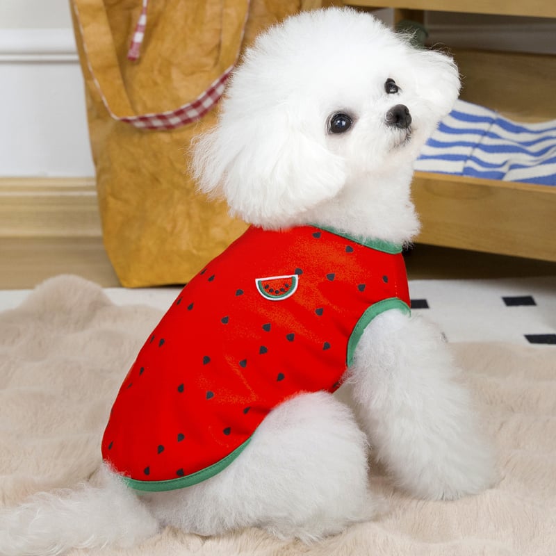 Дрехи за домашни любимци за кучета и котки, пролетно-летен тънък стил, Померан, Бишон Фризе, Теди, малко куче, дишаща и хладна жилетка тип „диня“