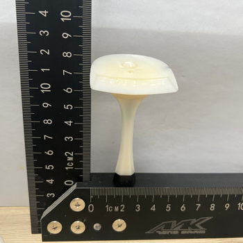 Heyuda υλικό φτέρνας παπουτσιών 69135-2 — ακατέργαστο κίτρινο υλικό; Προέλευση: Χουϊζου, Γκουαντόνγκ; Κύκλος παραγωγής: 5; Κύκλος δοκιμών: 5; Μέθοδος επεξεργασίας: Διαφορετικές επιλογές