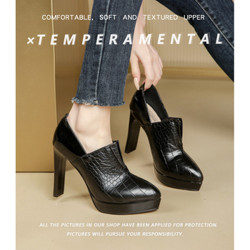 Pantofi de banchet cu vârf ascuțit, toc gros, material superior din fibră superioară, înălțime toc peste 8 cm