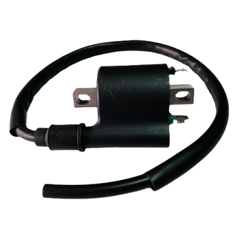 Bobina za paljenje FYJCBJ BE8 12V 1000W za električni skuter