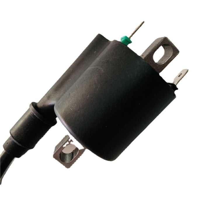 Bobina za paljenje FYJCBJ BE8 12V 1000W za električni skuter