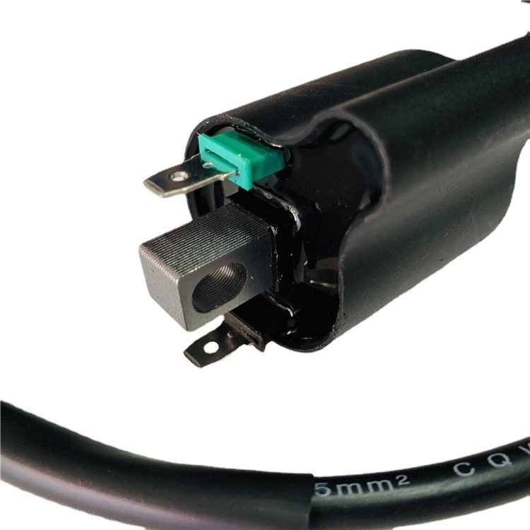 Bobina za paljenje FYJCBJ BE8 12V 1000W za električni skuter