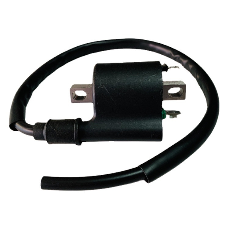 Bobina za paljenje FYJCBJ BE8 12V 1000W za električni skuter