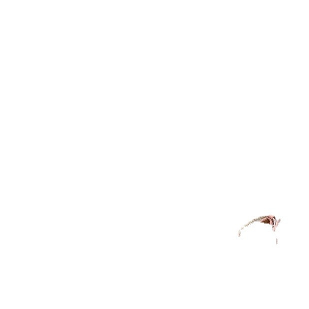 Ženske velur visoke potpetice u korejskom stilu, okrugli vrh, debeli pet 6–8 cm, PU potplat i PU ulošak