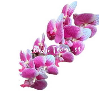 Τεχνητή ορχιδέα Phalaenopsis - Μάρκα: Senhong Shengxin - Υλικά: πλαστικό, PU, μαλακή κόλλα, μαλακό PVC - Χρήση: γάμοι και διακόσμηση σπιτιού