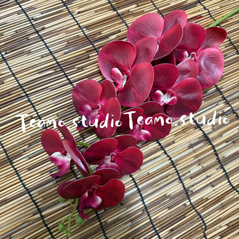 Τεχνητή ορχιδέα Phalaenopsis - Μάρκα: Senhong Shengxin - Υλικά: πλαστικό, PU, μαλακή κόλλα, μαλακό PVC - Χρήση: γάμοι και διακόσμηση σπιτιού
