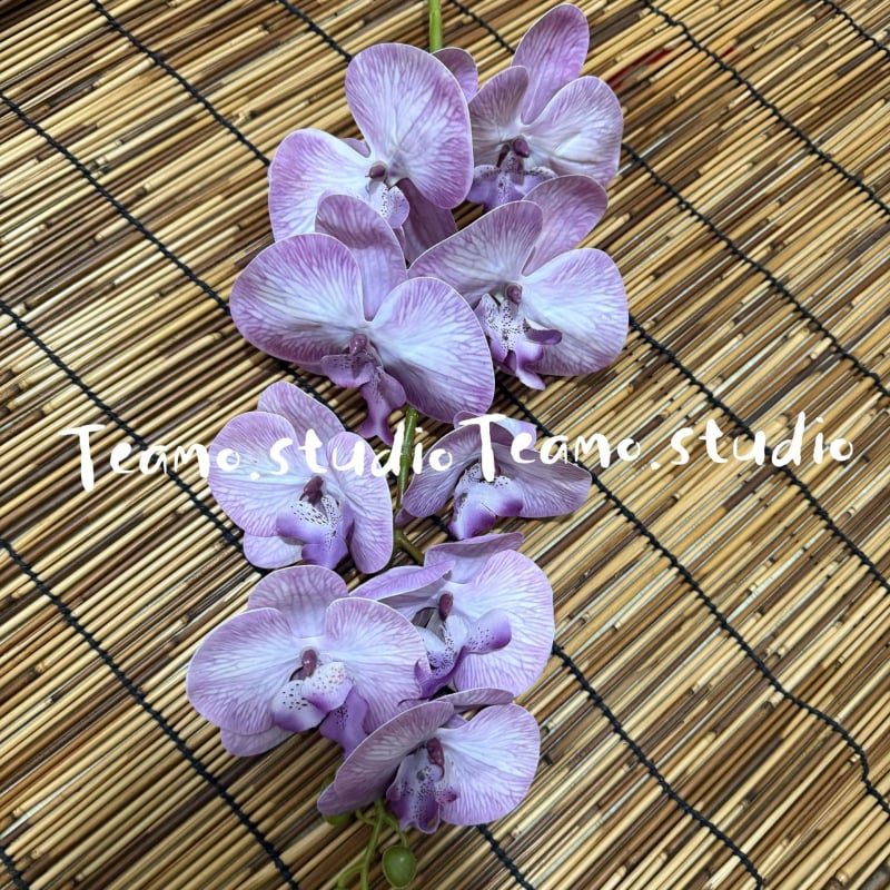Τεχνητή ορχιδέα Phalaenopsis - Μάρκα: Senhong Shengxin - Υλικά: πλαστικό, PU, μαλακή κόλλα, μαλακό PVC - Χρήση: γάμοι και διακόσμηση σπιτιού