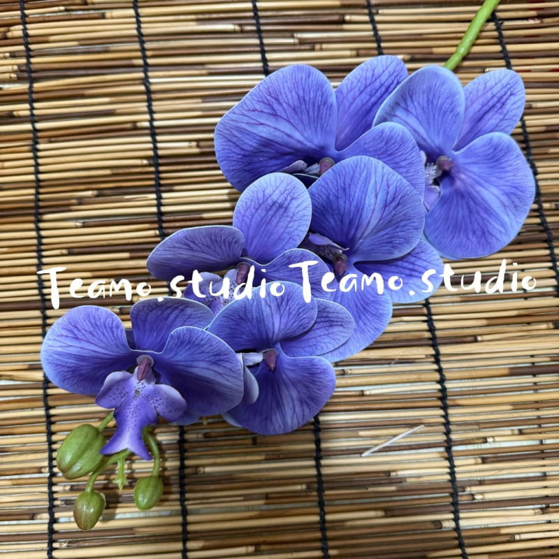 Τεχνητή ορχιδέα Phalaenopsis - Μάρκα: Senhong Shengxin - Υλικά: πλαστικό, PU, μαλακή κόλλα, μαλακό PVC - Χρήση: γάμοι και διακόσμηση σπιτιού