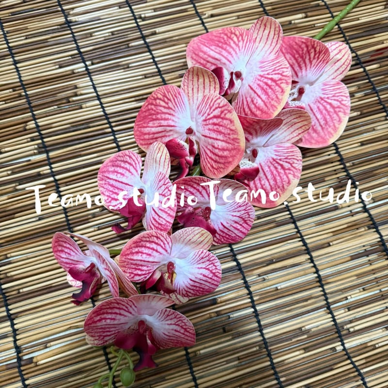 Τεχνητή ορχιδέα Phalaenopsis - Μάρκα: Senhong Shengxin - Υλικά: πλαστικό, PU, μαλακή κόλλα, μαλακό PVC - Χρήση: γάμοι και διακόσμηση σπιτιού