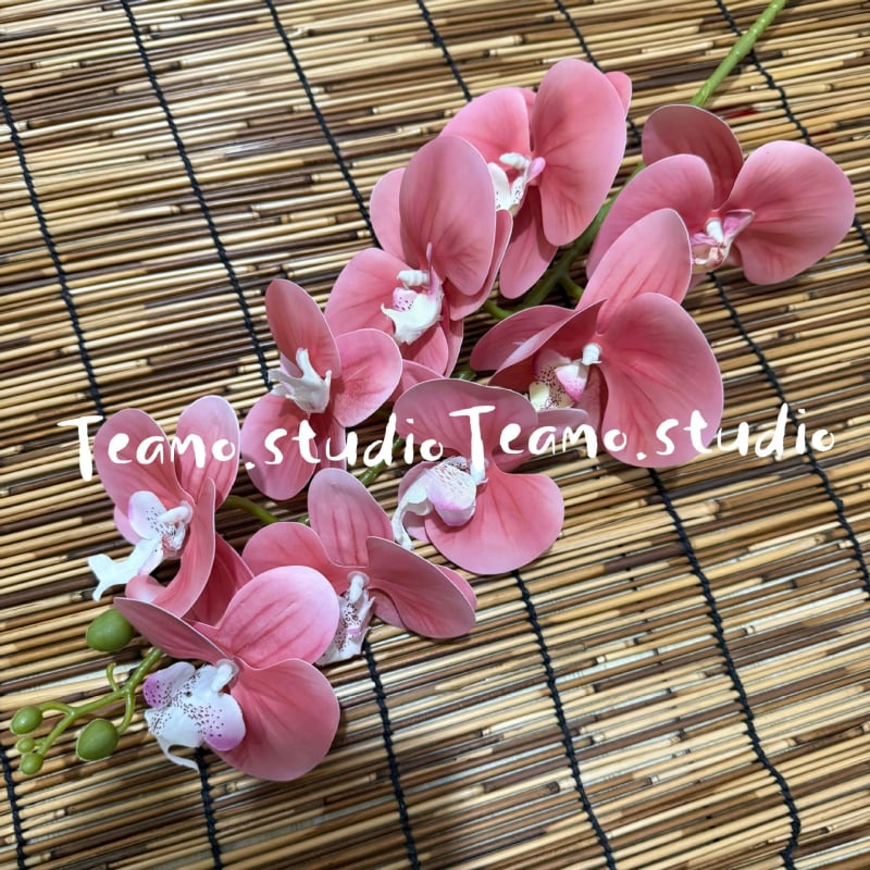 Τεχνητή ορχιδέα Phalaenopsis - Μάρκα: Senhong Shengxin - Υλικά: πλαστικό, PU, μαλακή κόλλα, μαλακό PVC - Χρήση: γάμοι και διακόσμηση σπιτιού