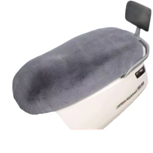 Husă pentru scaunul unui vehicul electric, căptușită cu fleece și umplutură de bumbac, cald pentru iarnă, marcă Friendly