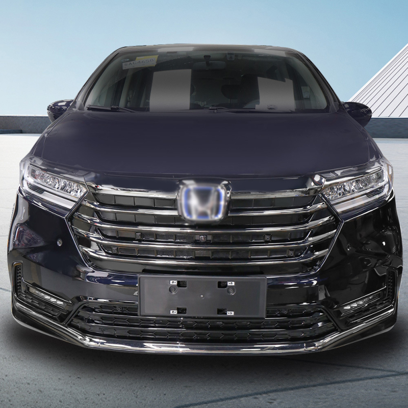 Mreža protiv insekata za prednji branik Odyssey 2022 – ABS plastika, Lehuo, model ODS010