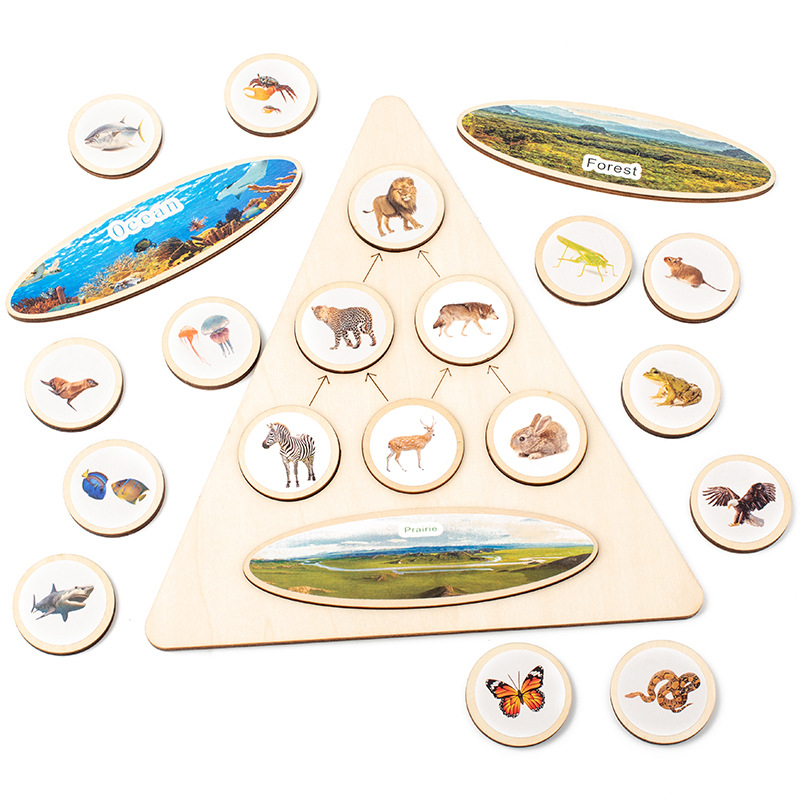 Drveni trodimenzionalni puzzle — Montessori inspirirana edukativna igra o prehrambenom lancu životinja za djecu od 4 do 6 godina