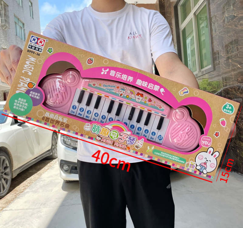 Xingshun Star obrazovni elektronički organ za početnike, plastični elektronički organ za djecu 4–6 godina, Shantou, Guangdong