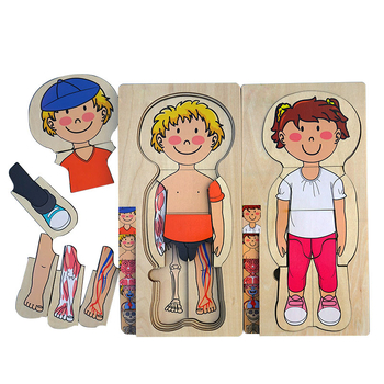 3D drveni višeslojni puzzle ljudskog tijela za djecu, uzrast 4–6 godina, prilagodljiv dizajn mapiranja