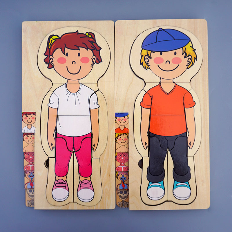 3D drveni višeslojni puzzle ljudskog tijela za djecu, uzrast 4–6 godina, prilagodljiv dizajn mapiranja