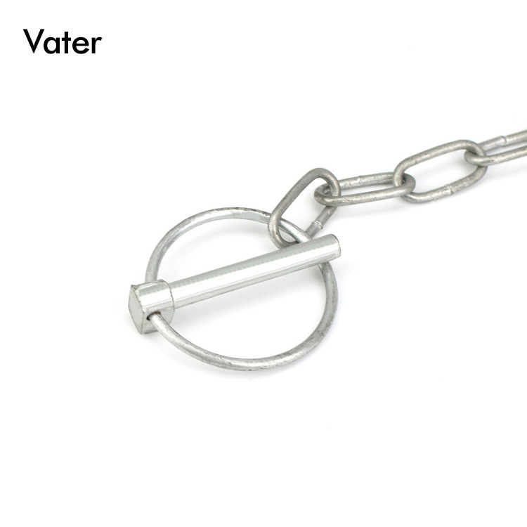 Κυλινδρικός πίρος για ρυμούλκηση με λαβή από αλυσίδα, μάρκα Vater, ηλεκτροεπικάλυψη, διάμετρος 6(1/4)-40 mm, μήκος 40-200 mm