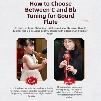 Hulusi, Model C, Brand Qimei, 20 bucăți pe cutie, ambalaj: rășină