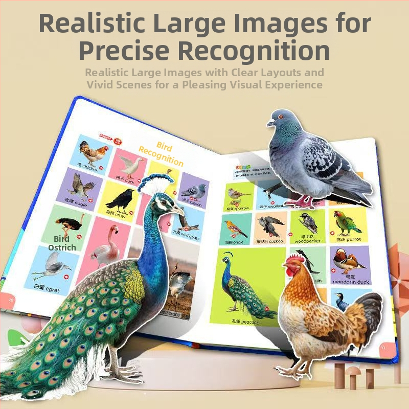 Li fang dispozitiv educațional pentru 0-3 ani, Carte cu vorbire pentru învățare timpurie, Plastic, baterie reîncărcabilă, Cod 9787900972545