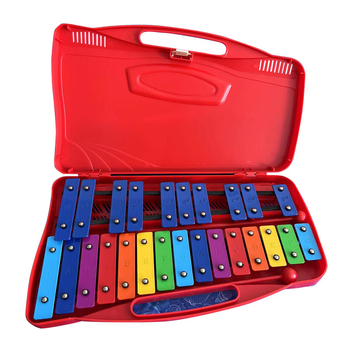 Παιδικό πλαστικό κρουστό πιάνο με 25 ήχους για προσχολική εκπαίδευση