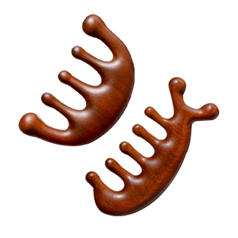 Drveni meridijanski masažni češalj s pet zubi za vlasište