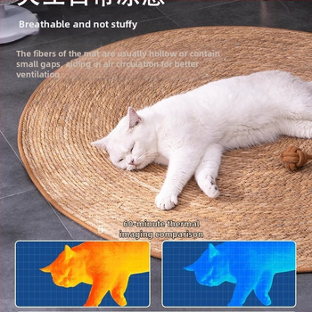 Котешко гнездо за всички сезони — котешка подложка и легло за котки (Материал: Други; Произход: Други; Категория на продукта: Седалкова възглавничка; Подходящо за: котки; Категория: Гнезда и клетки за домашни любимци)