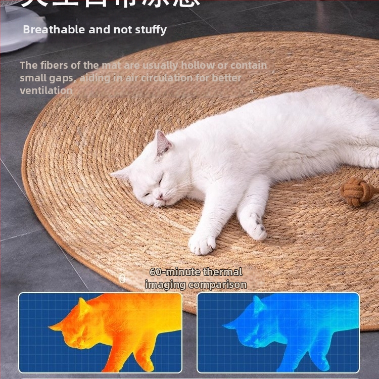 Котешко гнездо за всички сезони — котешка подложка и легло за котки (Материал: Други; Произход: Други; Категория на продукта: Седалкова възглавничка; Подходящо за: котки; Категория: Гнезда и клетки за домашни любимци)