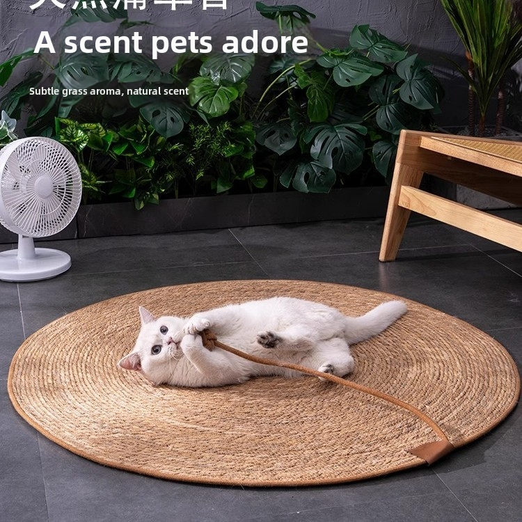 Котешко гнездо за всички сезони — котешка подложка и легло за котки (Материал: Други; Произход: Други; Категория на продукта: Седалкова възглавничка; Подходящо за: котки; Категория: Гнезда и клетки за домашни любимци)