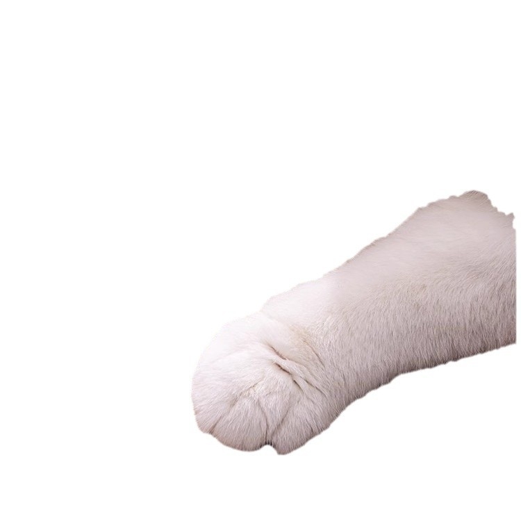 Котешко гнездо за всички сезони — котешка подложка и легло за котки (Материал: Други; Произход: Други; Категория на продукта: Седалкова възглавничка; Подходящо за: котки; Категория: Гнезда и клетки за домашни любимци)