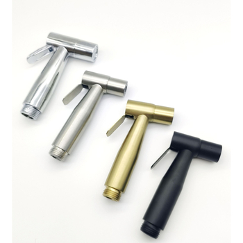 Duș de toaletă montat pe perete DHQ0175, oțel inoxidabil, presiune 0.6 MPa, diametru interior 20 mm, accesorii baie