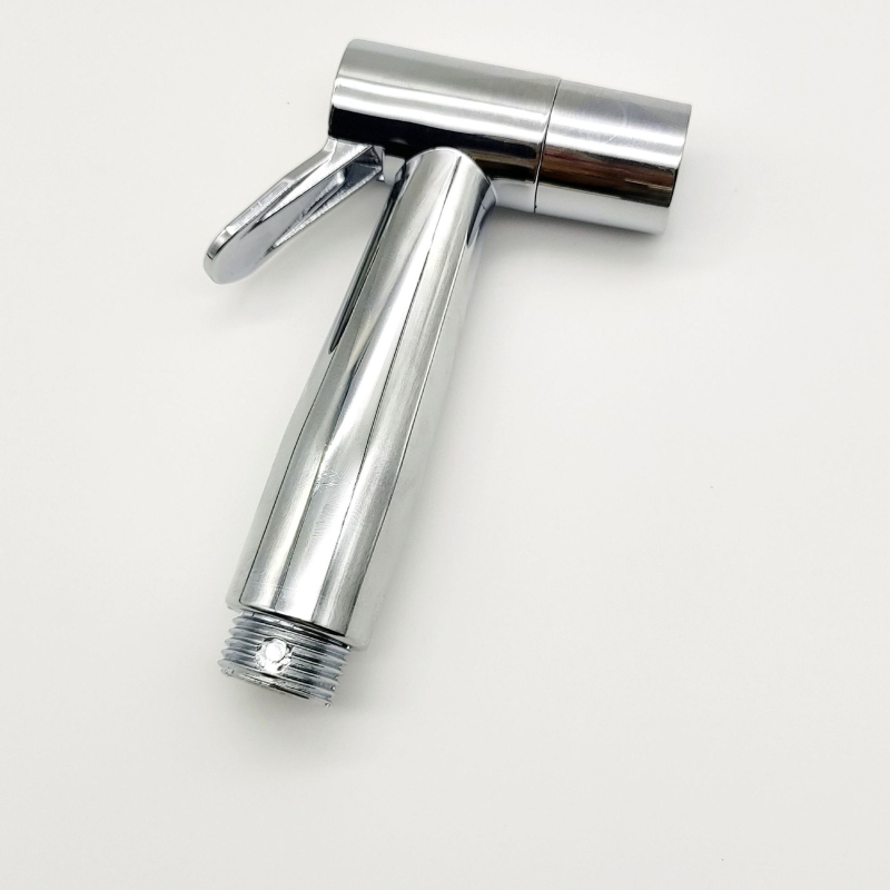 Duș de toaletă montat pe perete DHQ0175, oțel inoxidabil, presiune 0.6 MPa, diametru interior 20 mm, accesorii baie