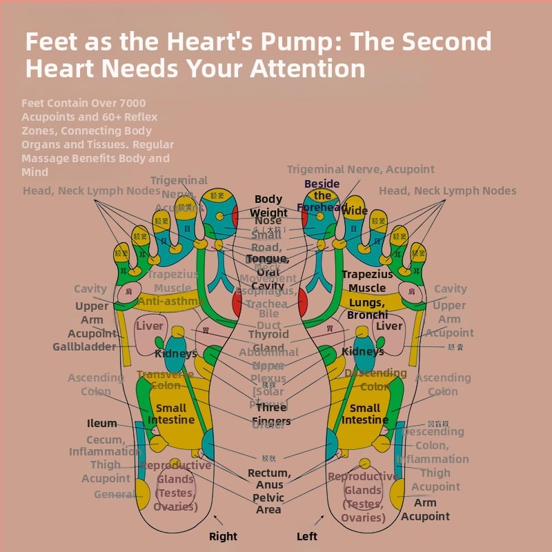 Παπούτσια φυσιοθεραπείας με τροφοδοσία USB, χειροκίνητος έλεγχος με καλώδιο, έλεγχος τύπου υπολογιστή, για μασάζ ποδιών